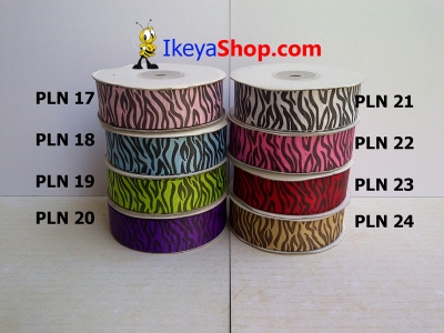 Pita PLN 17 24  large2